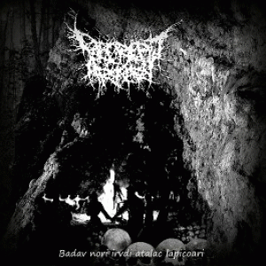 Decrepit Artery : Badav Nori Irvdi Atalac Lapicoari